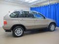 Kalahari Beige Metallic - X5 3.0i Photo No. 8