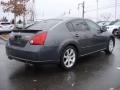 Precision Gray Metallic - Maxima 3.5 SE Photo No. 3