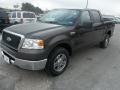 2007 Dark Shadow Grey Metallic Ford F150 XLT SuperCrew  photo #7