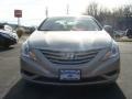 Camel Pearl - Sonata GLS Photo No. 2