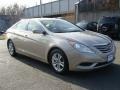 Camel Pearl - Sonata GLS Photo No. 3