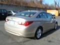Camel Pearl - Sonata GLS Photo No. 4