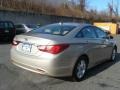 Camel Pearl - Sonata GLS Photo No. 5