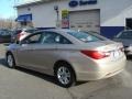 Camel Pearl - Sonata GLS Photo No. 6