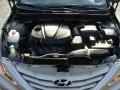Camel Pearl - Sonata GLS Photo No. 29