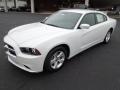Ivory Pearl - Charger SE Photo No. 2