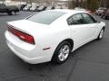 Ivory Pearl - Charger SE Photo No. 5
