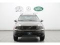 Oyster Gray Pearl - XC90 3.2 AWD Photo No. 3