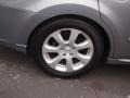 Precision Gray Metallic - Maxima 3.5 SL Photo No. 9