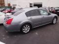 2008 Precision Gray Metallic Nissan Maxima 3.5 SL  photo #10