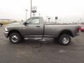 Mineral Gray Pearl - Ram 3500 HD ST Regular Cab 4x4 Dually Photo No. 8