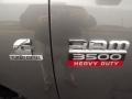 Mineral Gray Pearl - Ram 3500 HD ST Regular Cab 4x4 Dually Photo No. 21