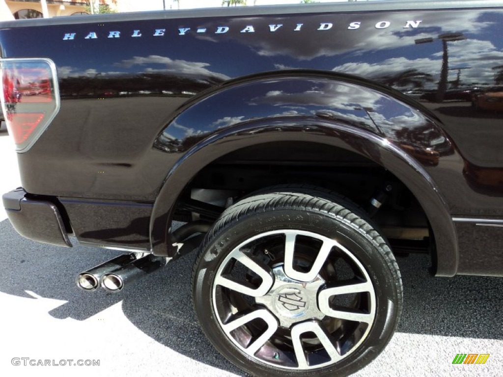 2010 F150 Harley-Davidson SuperCrew 4x4 - Lava Red Metallic / Harley Davidson Lava Red/Black photo #5