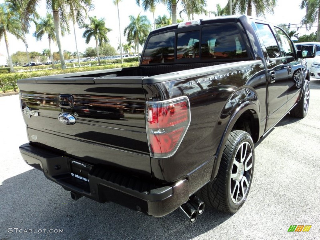 2010 F150 Harley-Davidson SuperCrew 4x4 - Lava Red Metallic / Harley Davidson Lava Red/Black photo #7