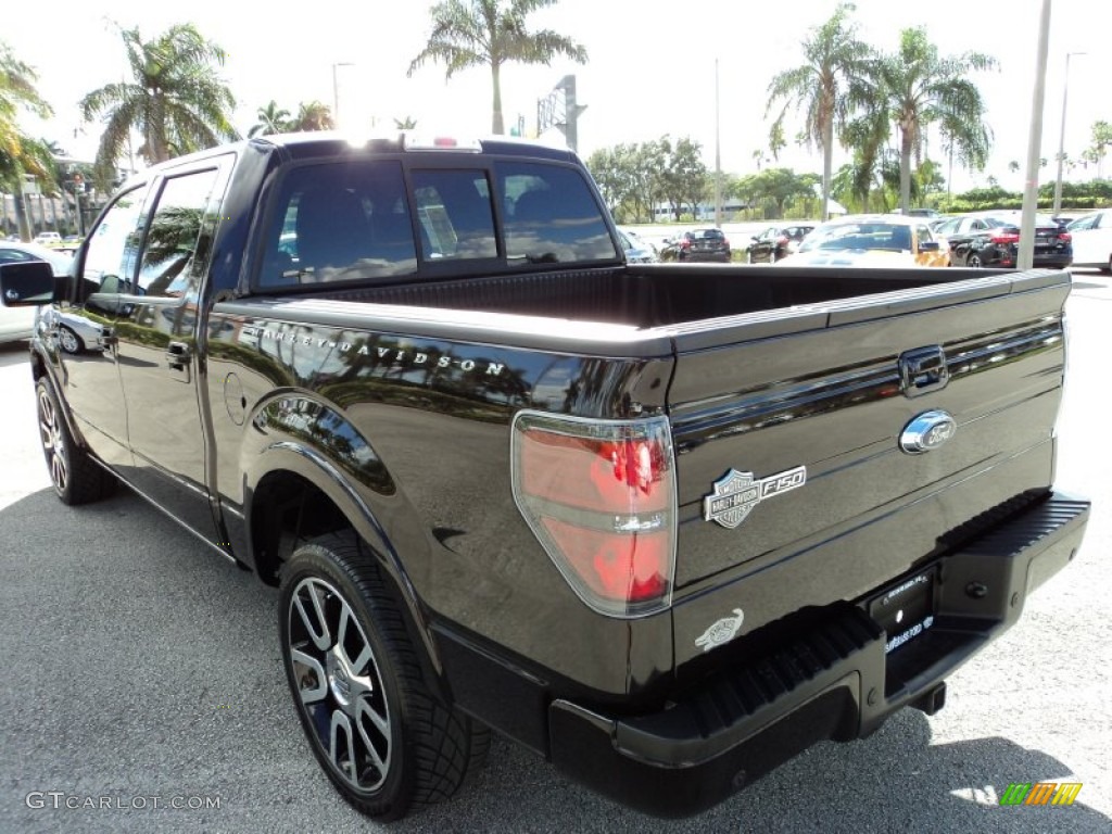 2010 F150 Harley-Davidson SuperCrew 4x4 - Lava Red Metallic / Harley Davidson Lava Red/Black photo #10