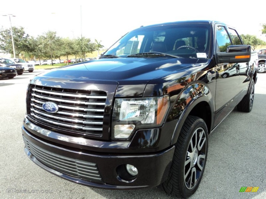 2010 F150 Harley-Davidson SuperCrew 4x4 - Lava Red Metallic / Harley Davidson Lava Red/Black photo #15