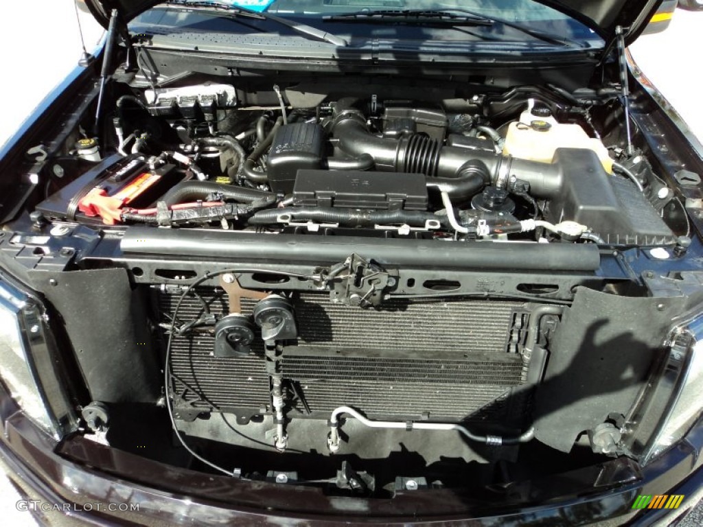 2010 Ford F150 Harley-Davidson SuperCrew 4x4 5.4 Liter Flex-Fuel SOHC 24-Valve VVT Triton V8 Engine Photo #74513027