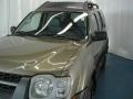 2002 Gold Rush Metallic Nissan Xterra SE V6 4x4  photo #9