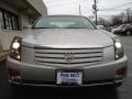 Light Platinum - CTS Sedan Photo No. 2