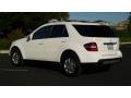 Alabaster White - ML 350 4Matic Photo No. 5