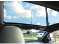 Dark Charcoal Sunroof Photo for 2009 Ford Mustang #74519455