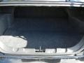 Dark Charcoal Trunk Photo for 2009 Ford Mustang #74519579