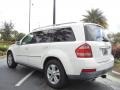 Arctic White - GL 450 4Matic Photo No. 5