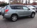 Everglade Metallic - RAV4 Limited V6 4WD Photo No. 4