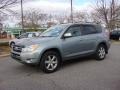 Everglade Metallic - RAV4 Limited V6 4WD Photo No. 6