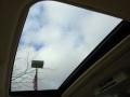 Everglade Metallic - RAV4 Limited V6 4WD Photo No. 14