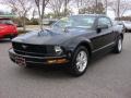Black - Mustang V6 Deluxe Coupe Photo No. 7