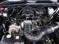 Black - Mustang V6 Deluxe Coupe Photo No. 19