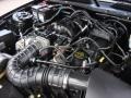 Black - Mustang V6 Deluxe Coupe Photo No. 20
