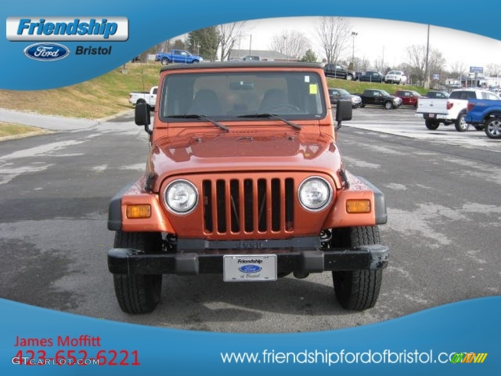 1998 Wrangler SE 4x4 - Amber Fire Pearl / Mist Grey photo #3