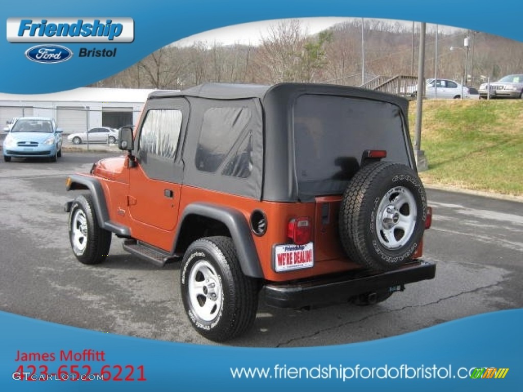 1998 Wrangler SE 4x4 - Amber Fire Pearl / Mist Grey photo #8