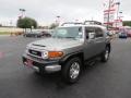 Silver Fresco Metallic - FJ Cruiser  Photo No. 3