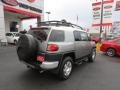 Silver Fresco Metallic - FJ Cruiser  Photo No. 7