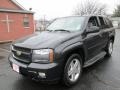 2008 Black Granite Metallic Chevrolet TrailBlazer LT 4x4  photo #2