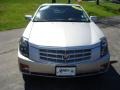 Light Platinum - CTS Sport Sedan Photo No. 3