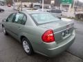 2005 Silver Green Metallic Chevrolet Malibu Sedan  photo #3