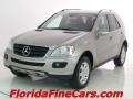 2006 Pewter Metallic Mercedes-Benz ML 350 4Matic  photo #1