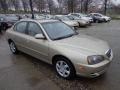 Champagne Metallic - Elantra GLS Sedan Photo No. 7