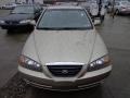 Champagne Metallic - Elantra GLS Sedan Photo No. 8