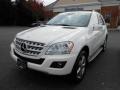 Arctic White - ML 350 4Matic Photo No. 3