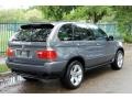 2006 Stratus Grey Metallic BMW X5 4.4i  photo #7