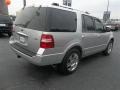Ingot Silver Metallic - Expedition Limited Photo No. 3