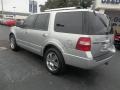 Ingot Silver Metallic - Expedition Limited Photo No. 5