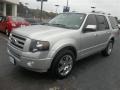 Ingot Silver Metallic - Expedition Limited Photo No. 7