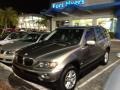 Sterling Grey Metallic - X5 3.0i Photo No. 1