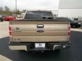 2013 Pale Adobe Metallic Ford F150 XLT SuperCrew  photo #5